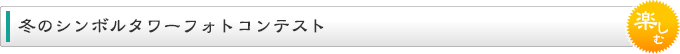 冬のシンボルタワーフォトコンテスト