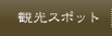 �ό��X�|�b�g
