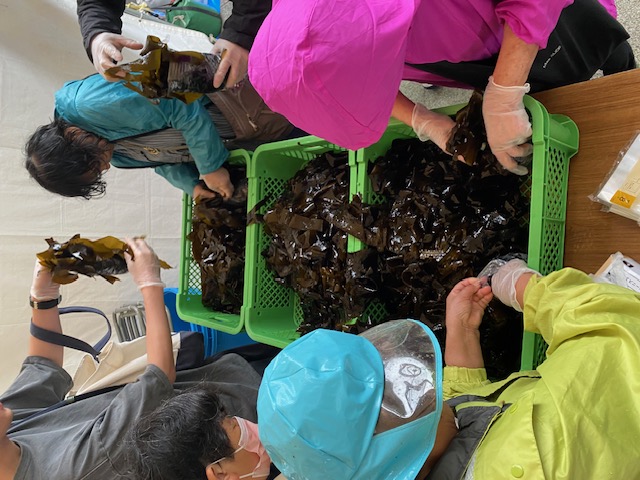 ����˾ܤ���